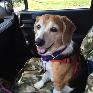 Meet your Posher, Kat